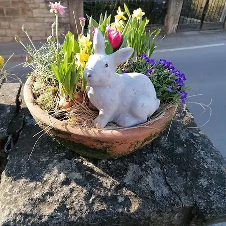 Im Lehm-fachwerkhaus Mit 3 Einzelnen Schlafzimmern Je Mit Tv *
